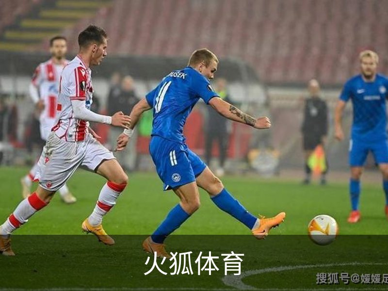 火狐体育介绍